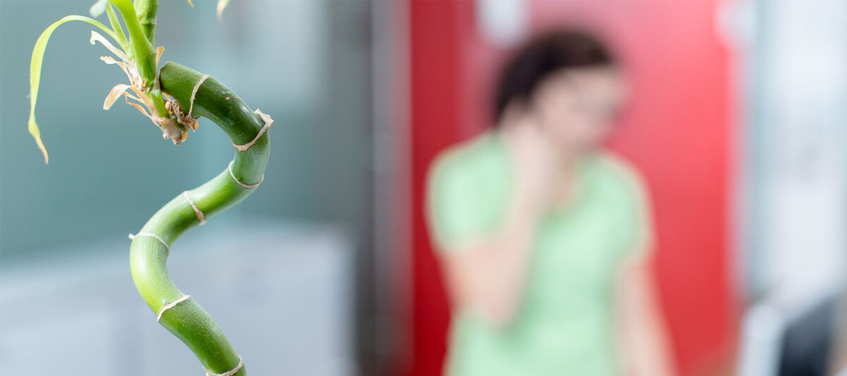 Kontakt OCS Düsseldorf